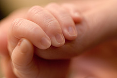 Hands